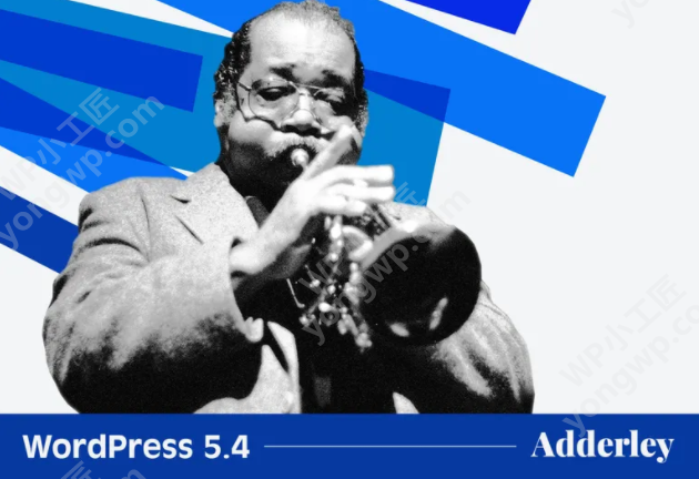 wordpress5.4 中文汉化版下载